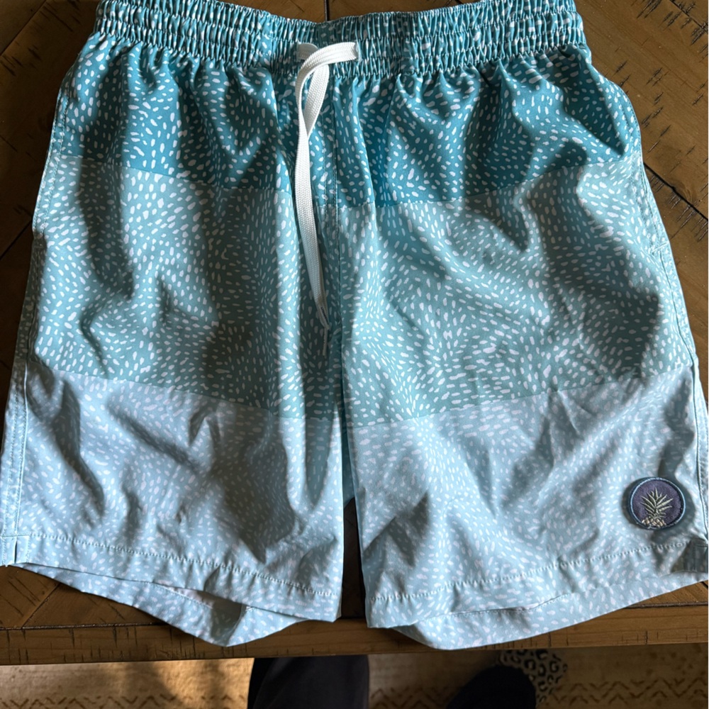 Chubbies Swim Trunks